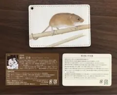 Item thumbnail for item 64821e87-beb6-4686-b2aa-428be5342933