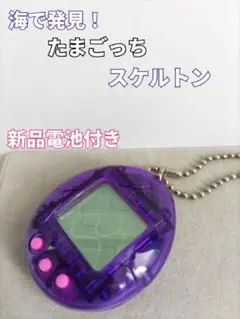 海で発見！ たまごっち スケルトン パープル