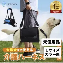 Item thumbnail for item cd90b2b6-d8b1-4e55-90a0-11f9ec9f5221