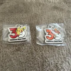 ポケモン　30周年　メタルチャームマスコット　ガチャ