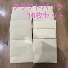 クラフト紙袋 10枚セット 手提げ袋　ラッピング袋　包装　まとめ売り