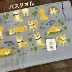 いちごっち「プロフ読んで下さい」様 リクエスト 2点 まとめ商品