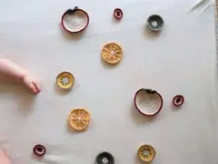 ハーフバースデー　フルーツモチーフ