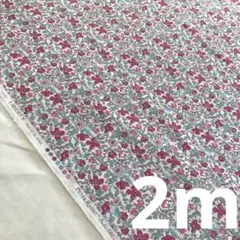 リバティ　タナローン　ピーターメドゥ　メルシー限定色　ワインレッド