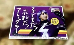 嵐 大野智/アレグラFX のぼり旗＆パンフレット3冊 - メルカリ