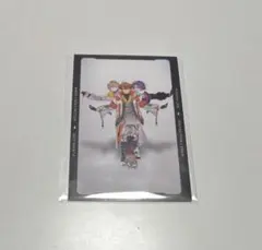 IMPACT フォトカ 太陽組 3D