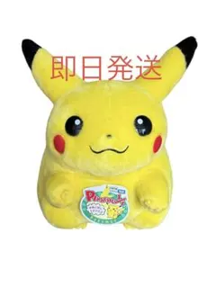 ポケモン 30周年記念 おかえり!ピカチュウ1/1