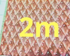 Item thumbnail for item 5b49eb4a-3423-4b21-8f87-dfb2c0bab1a7