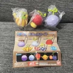 悪魔の実ライト セット