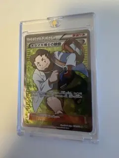 オダマキ博士の観察 SR XY5 タイダルストーム 078/070 - メルカリ