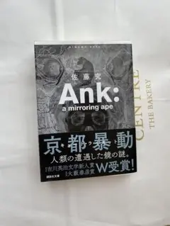 Ank:a mirroring ape