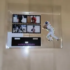 ネコ大好き、でも「ちーず」は大嫌い(笑)様 リクエスト 2点 まとめ商品