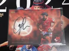 Item thumbnail for item 2909f301-346f-4cfa-91a5-396f99360633