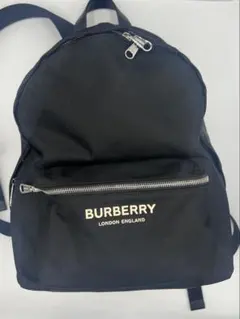 Item thumbnail for item 65d46a8a-bb72-48fb-9c71-a4d95c9d3364