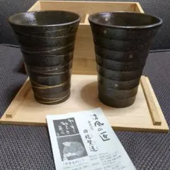 美濃焼 「焼〆金彩 焼酎カップペアー」