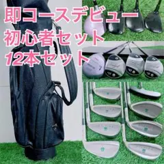 レディース ゴルフクラブ フルセット ウィルソン マルマン入り H3976のサムネイル