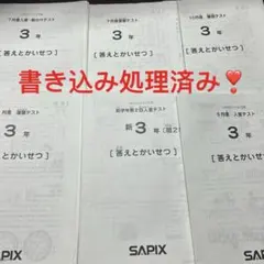 2023年終了組】サピックス冬期&正月特訓 麻布国語プリント - メルカリ