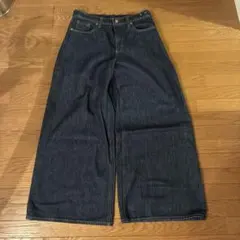 GAP EXTRA BAGGY LOW RISE デニム 27 / 4R