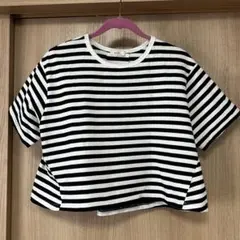 earth music &ecology コットンボーダーカットソー