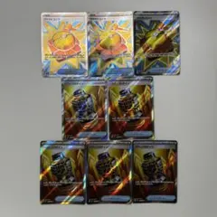 ファイトコング+パワープロテイン 【SR】