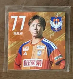 アルビレックス新潟 選手チェキ(フォト)カード(佐藤海宏選手) - メルカリ