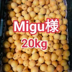 2026年最新】甲州小梅の人気アイテム - メルカリ