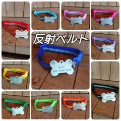 Item thumbnail for item e9474764-4cd5-493d-9287-6e6ac00f870b