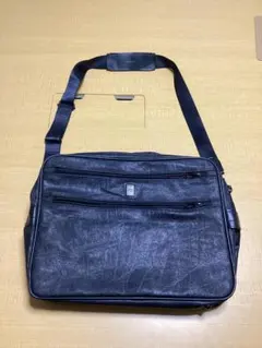 Item thumbnail for item cf415a4a-e63d-440f-8b1a-6648596b54b0