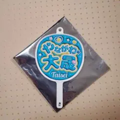 Item thumbnail for item 8afe8838-d021-4627-a77d-11b2daed1ec2