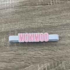 2025年最新】seventeen ペンライト アクセサリーの人気アイテム