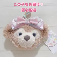 ダッフィーフレンズ カラフルハピネス シェリーメイ ショルダーバッグ 新品未使用