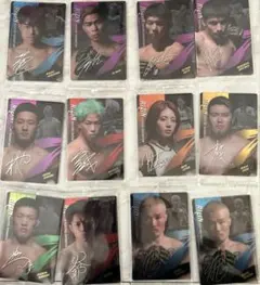 RIZIN ウエハース　カード12枚セット