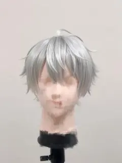 ツイステ スカリー コスプレ ウィッグ セット済み - メルカリ