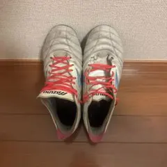 わわわ様専用