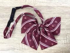 Item thumbnail for item 8554d120-5e7e-428f-a10e-59eba28a9791