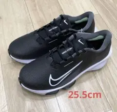 ナイキ エア ズーム インフィニティ ツアー 2