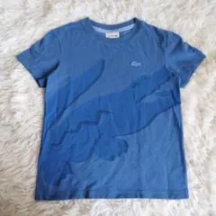 LACOSTE 青 Tシャツ ワニ サイズ8のサムネイル
