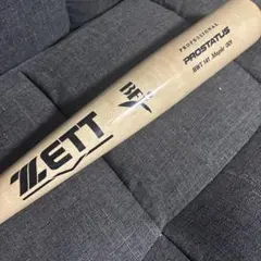 値下げ可能‼️ ZETT PROSTATUS 硬式木製バットのサムネイル