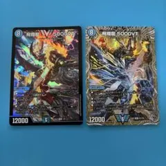 飛翔龍5000VT 銀トレジャー 2枚 - メルカリ