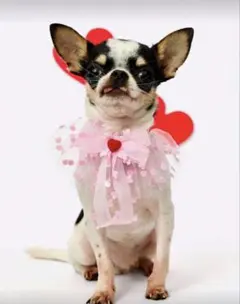 Item thumbnail for item a94f9cab-5f24-464a-9a1a-08de7dd48351