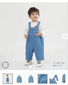 丈感、参考画像　購入不可。