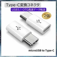 001-2個★Type-C変換アダプタ OTG対応 充電データ転送 705