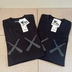 ユニクロ UT カウズ＋ウォーホル Tシャツ Lサイズ 2点セット
