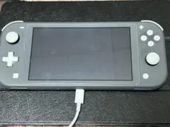 Nintendo Switch Lite 液晶不良