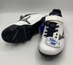 Item thumbnail for item 1bbe8da9-b099-4b20-834c-373dc67bb6df