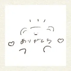 【ピコ様 専用ページです♡】