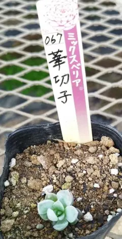 326kuma様 リクエスト 3点 まとめ商品