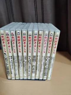 水曜どうでしょう 「DVD 第6弾ジャングル リベンジ」ポストカード初回