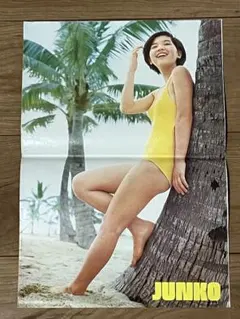 桜田淳子パネル60✕85センチ 桜田淳子パネル60✕85センチ