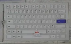 Acid Caps "Standard" Gray on White